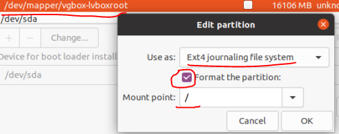example of setting mount point and file system format